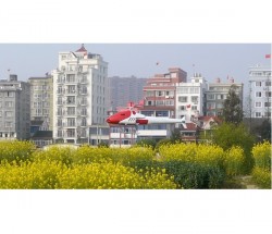 上海寅翅智能油动植保无人直升机机EV-170